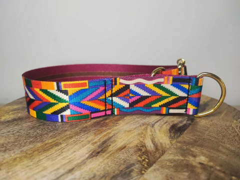 Adventure Hunter - Obroża półzaciskowa dla psa