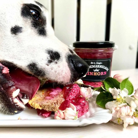 Stevi & Schnück‘s Hundemarmelade Einhorn DŻEM DOBRY JEDNOROŻEC 275g