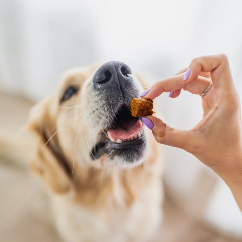 Przysmaki dla psa BON BON, KRÓLIK z dodatkiem funkcyjnym – siła czystka, PERRO