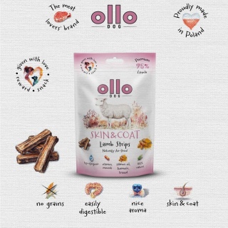 Przysmaki na skórę i sierść dla psa, mięsne paski z jagnięciny 80g. Air-Dried Skin & Coat Lamb Strips, OLLO